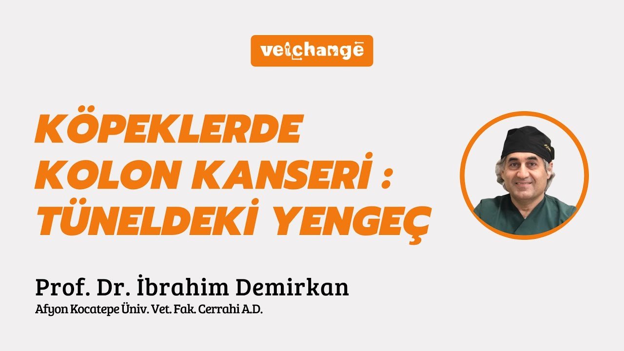 Köpeklerde Kolon Kanseri Tüneldeki Yengeç - Prof. Dr. İbrahim Demirkan